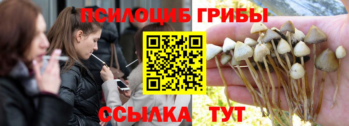 Карпинск  Галлюциногенные грибы Psilocybine cubensis  Вход с VPN 